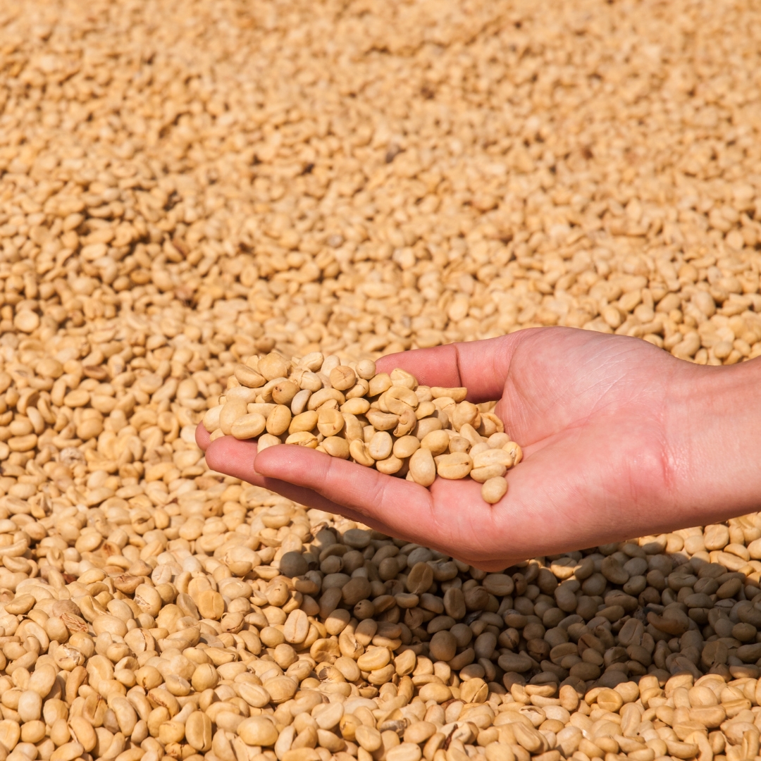 Farmers Support